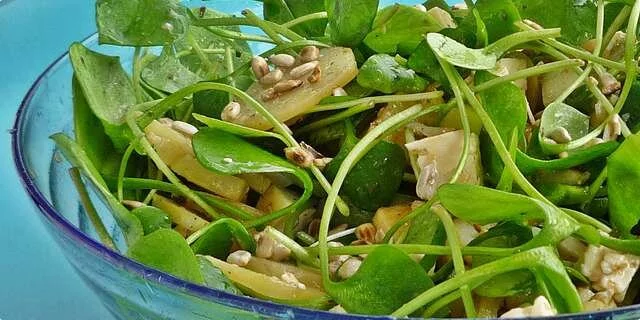 A bowl full of watercress